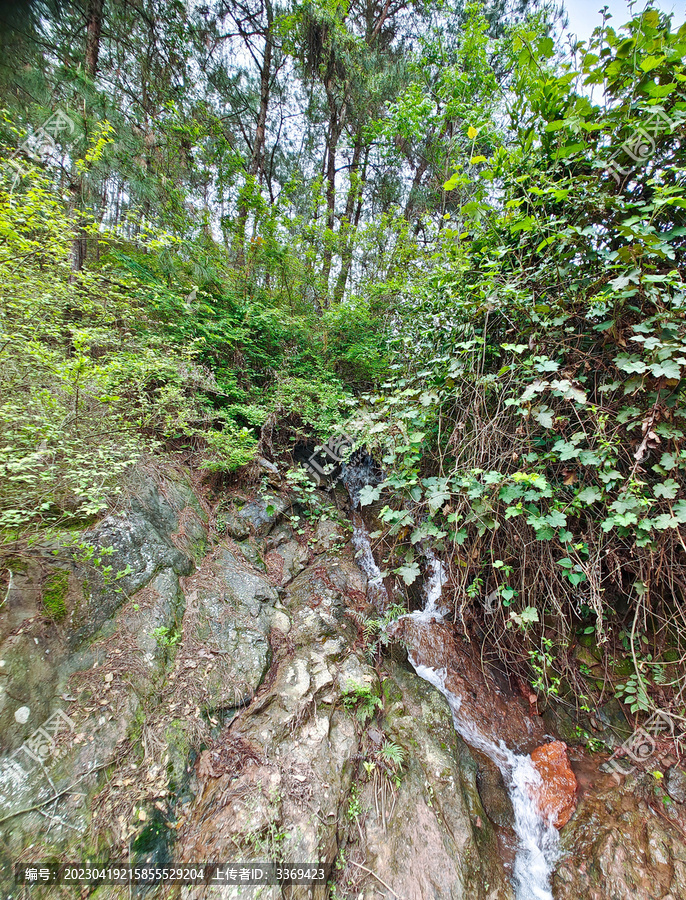 圣山油榨冲山泉