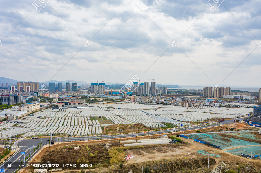 航拍云南昆明斗南花卉市场花市