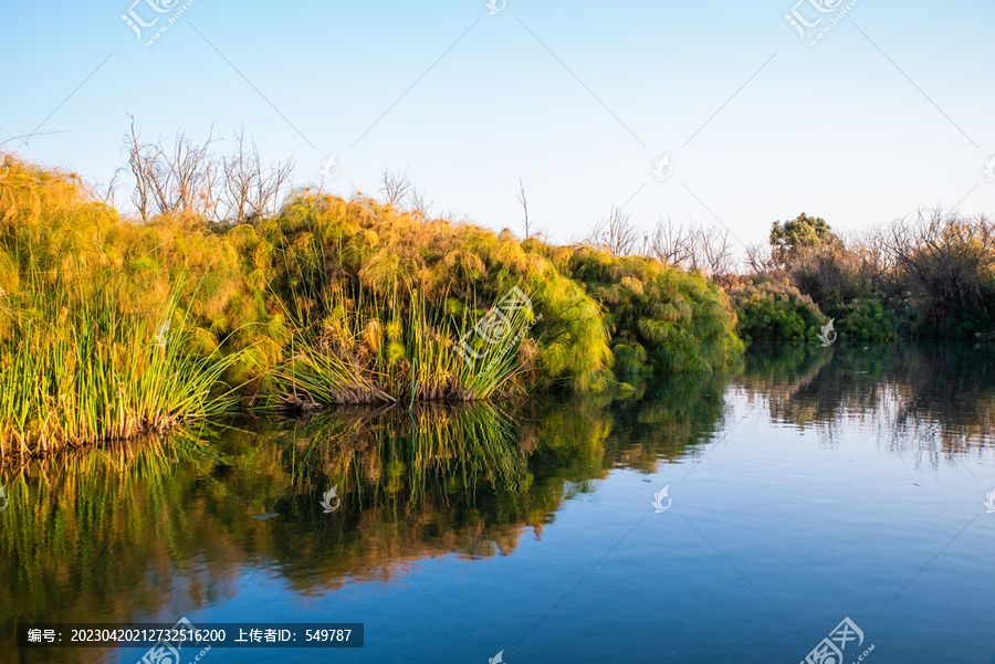 昆明滇池湿地公园