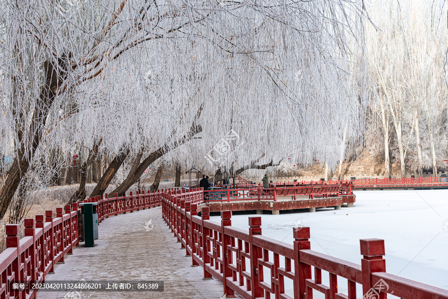 冬季公园湖岸树林雾凇雪景