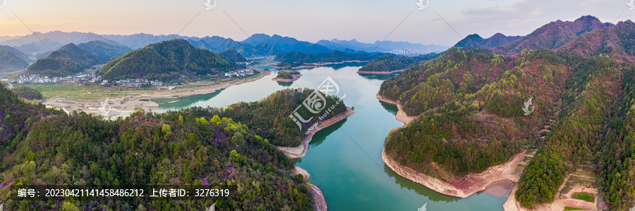 浦江通济湖春季紫荆花风光全景