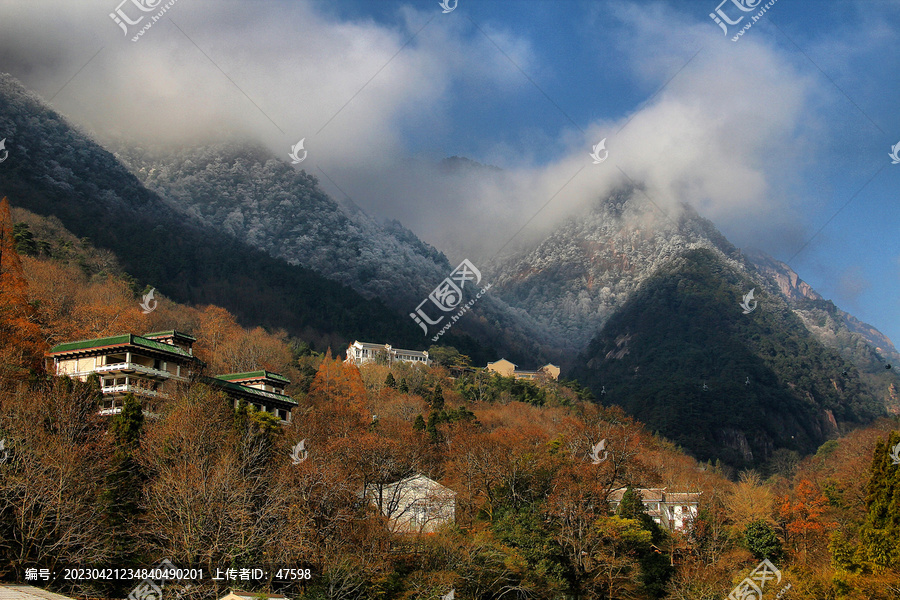 黄山雪松黄山风光