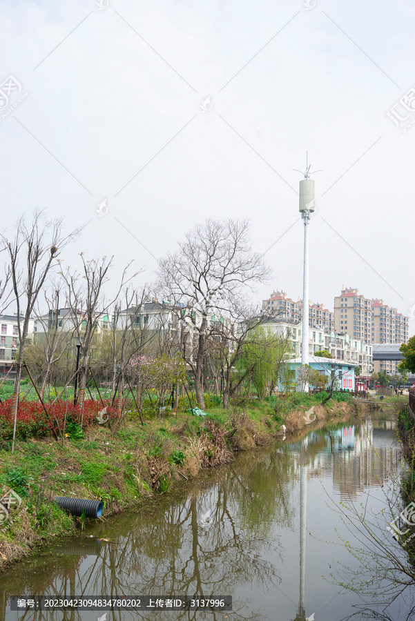 河道绿化带