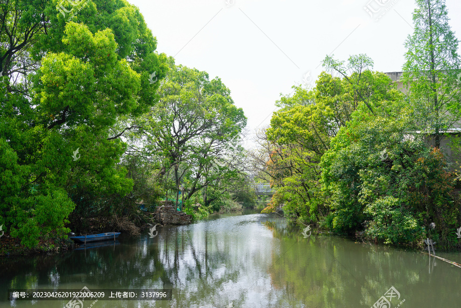 河道绿化