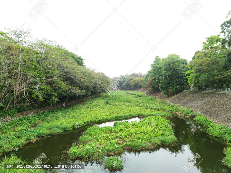 河岸风景