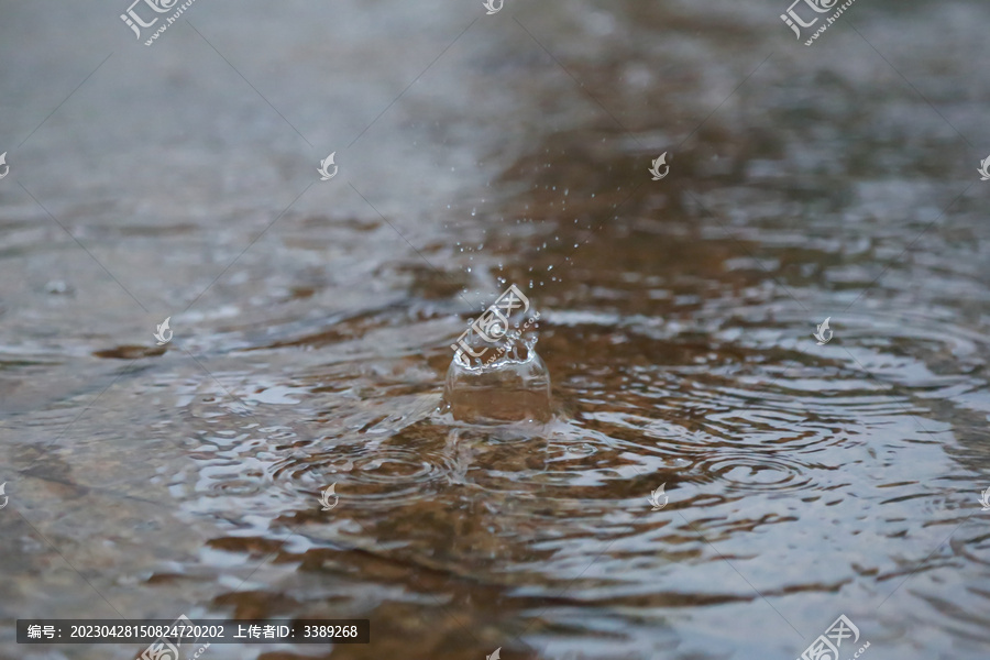 春雨绵绵水滴凝固