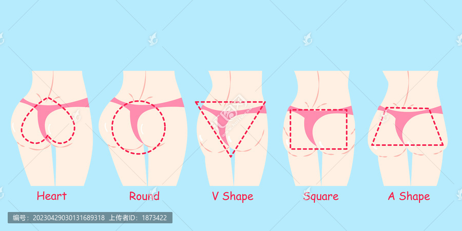穿着丁字裤,不同形状的臀部插图