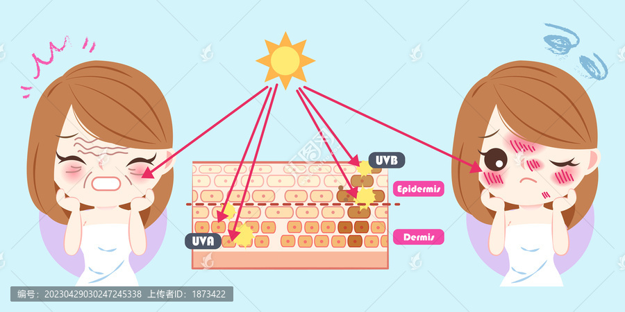 紫外线对女性肌肤的伤害插图