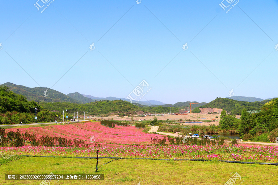 花海