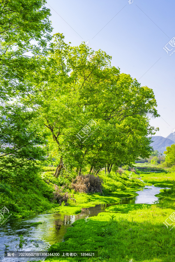 绿树林风景画