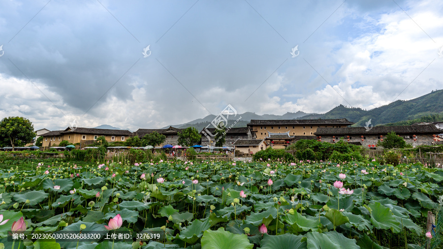 福建梅林土楼夏季荷花风光