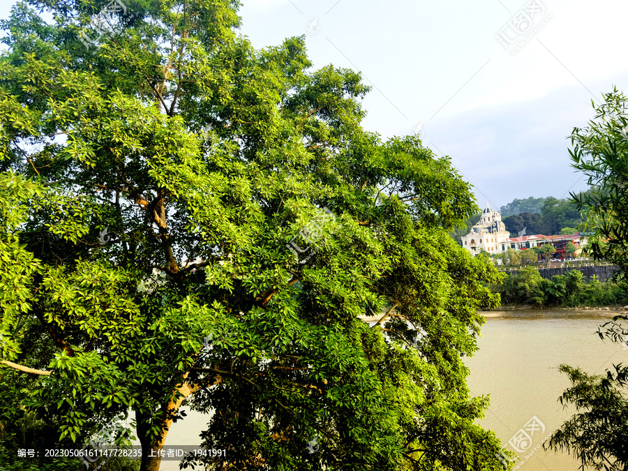 河岸风景