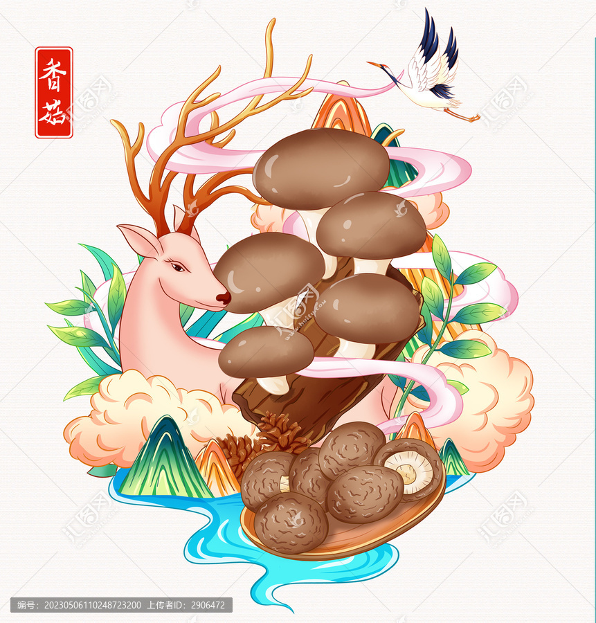 香菇插画手绘