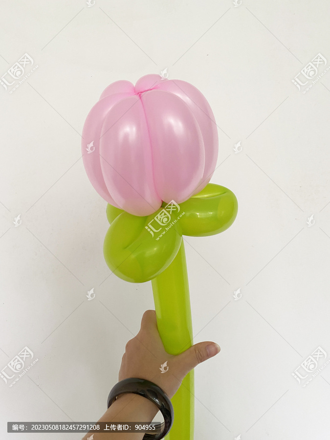 气球郁金香