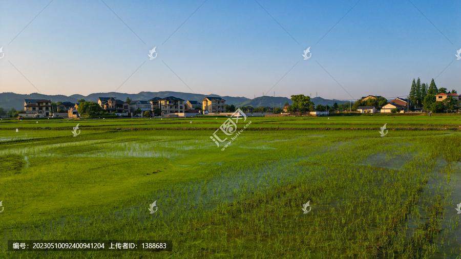 稻田农村别墅