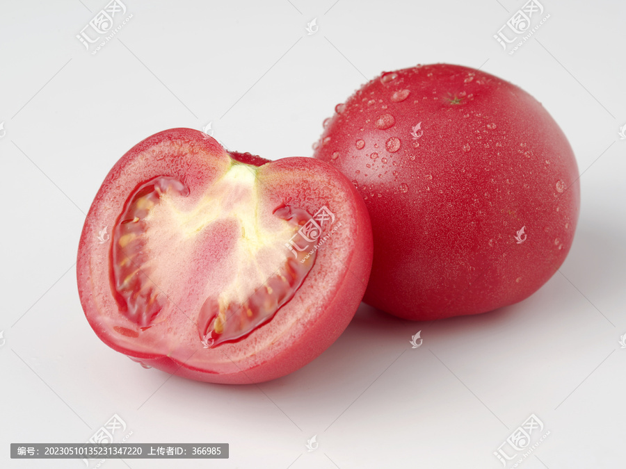 西红柿白底图