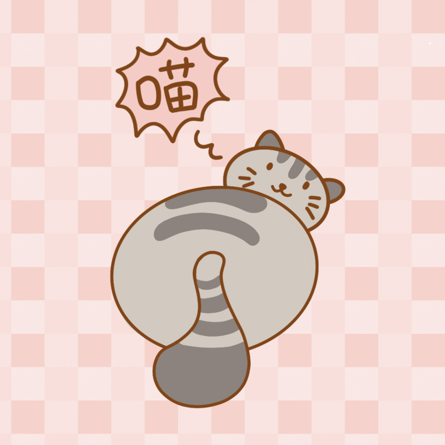 灰条纹猫