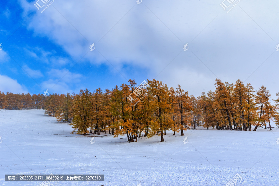 新疆喀纳斯风景区雪景秋色风光