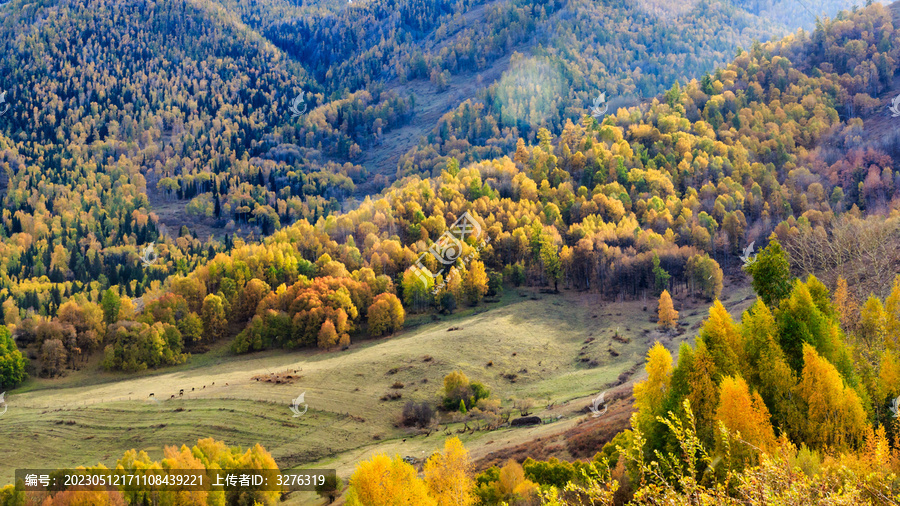 北疆森林高山草原秋色风光