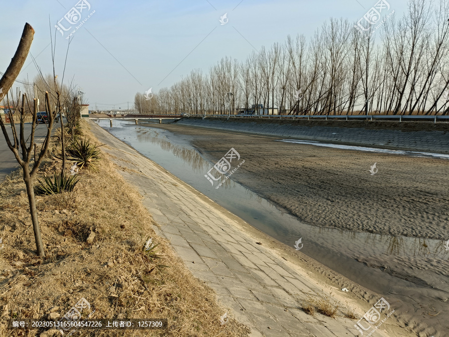 黄河河道