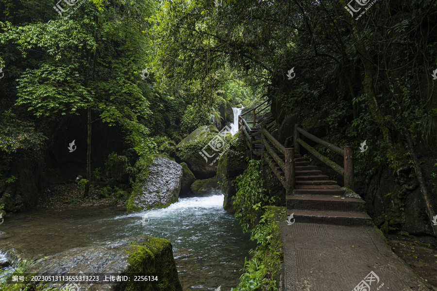 青城山森林步道