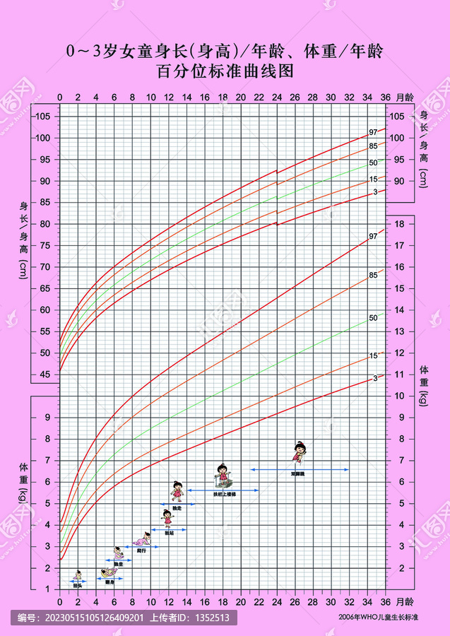 女童身长体重年龄标准曲线图