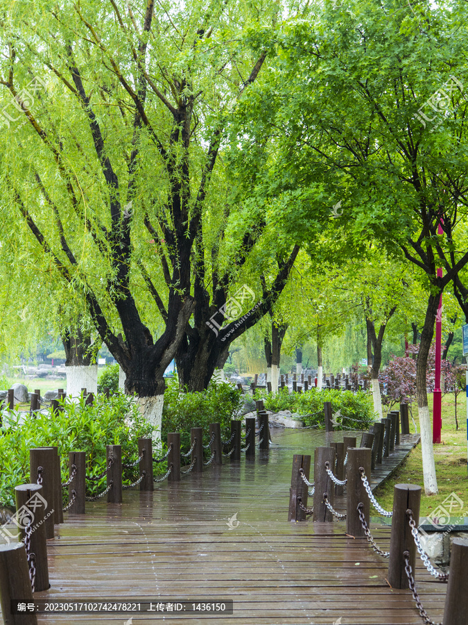 雨后公园风景