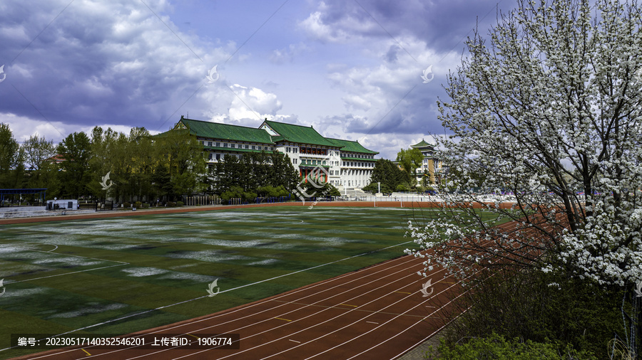 春季的吉林大学建筑景观