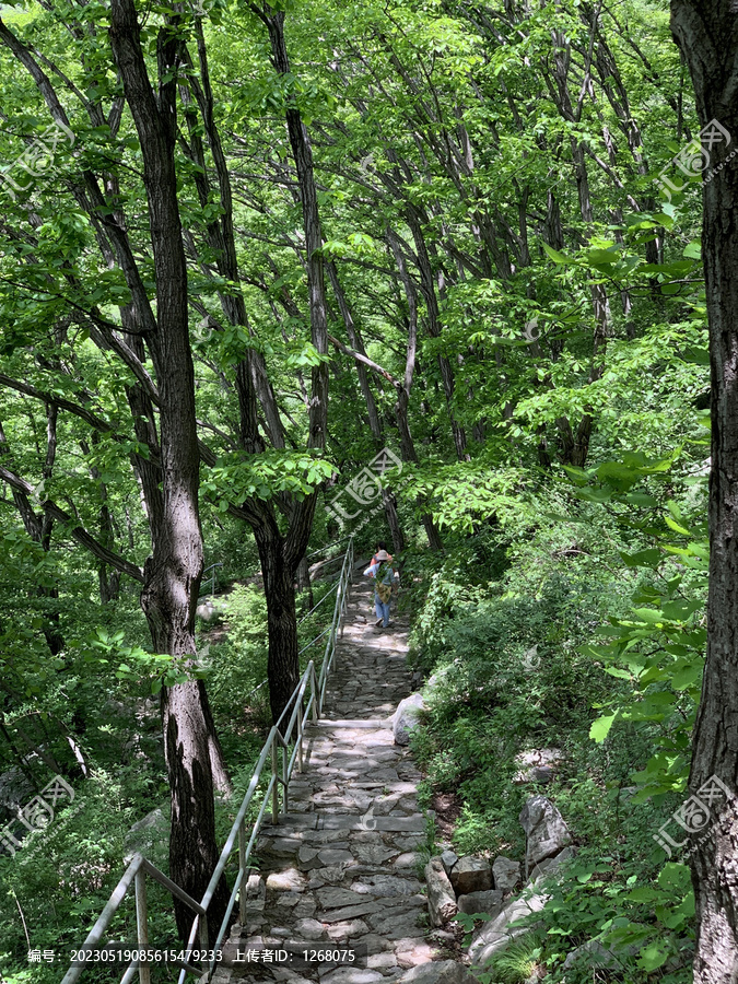 河南登封嵩山中岳庙名胜