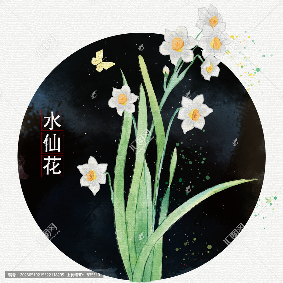 手绘水彩水仙花插画