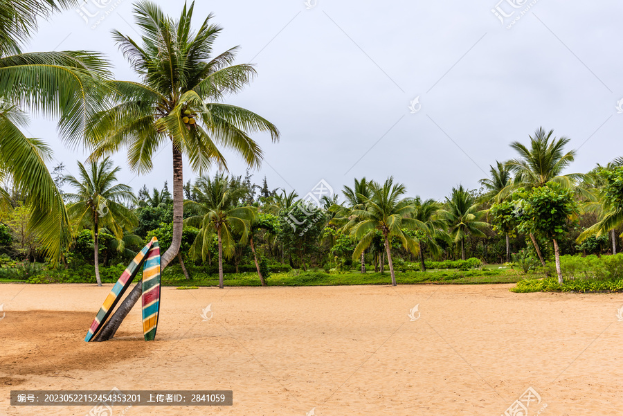 中国三亚的沙滩椰树和冲浪板