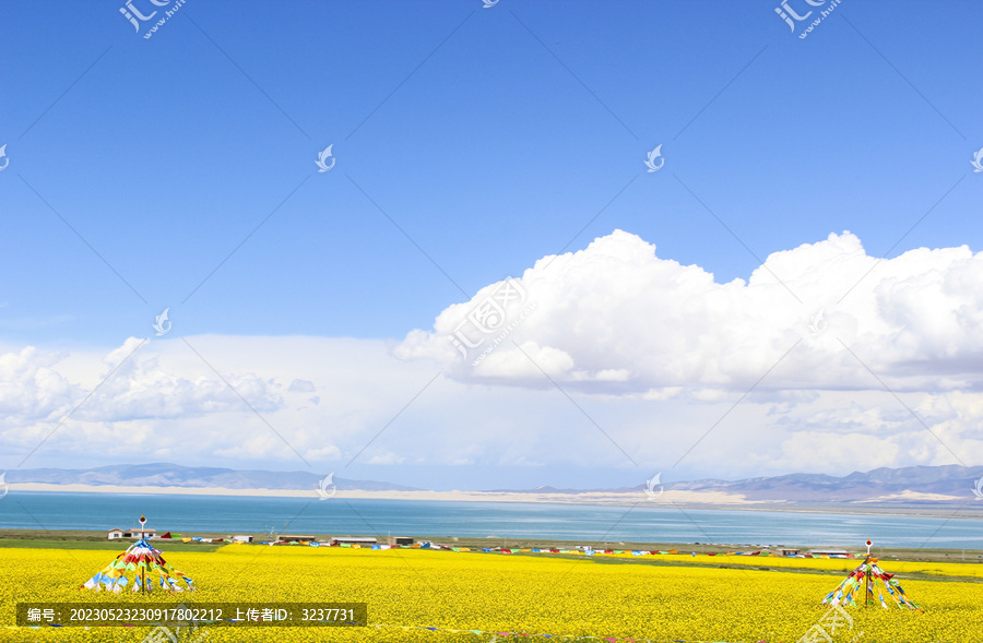 青海湖夏日风景