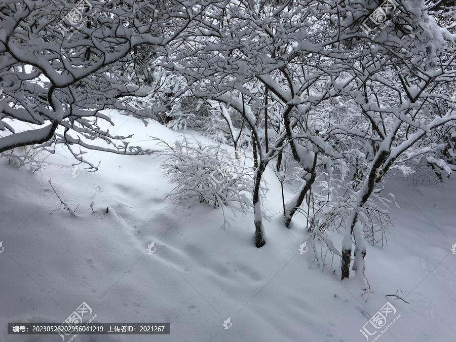 黄山雪景