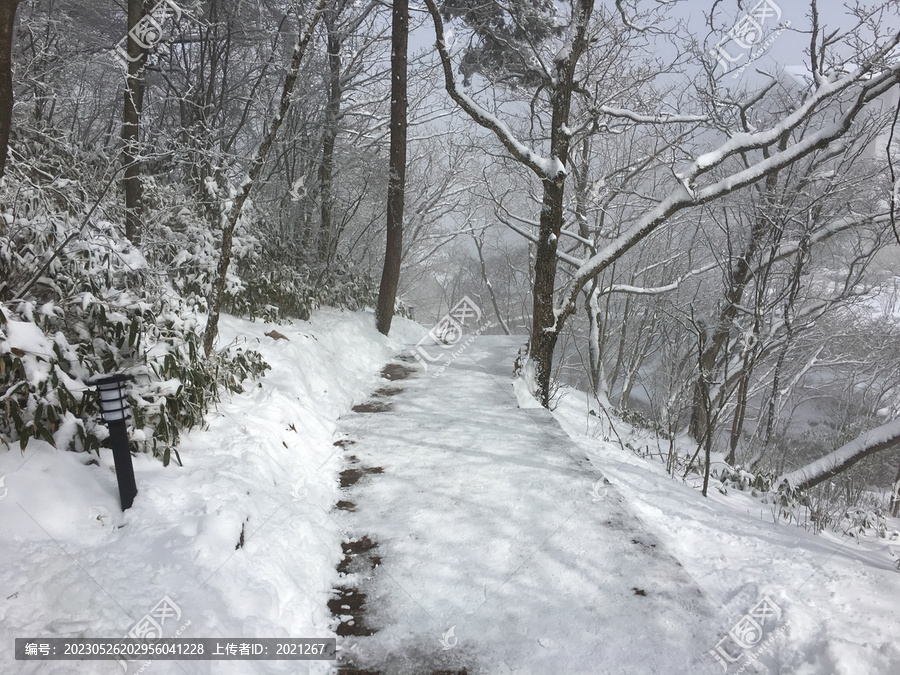 黄山雪景