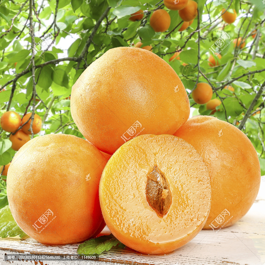 大黄杏