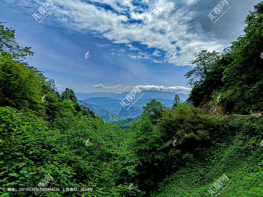 原始森林大山深处望远山