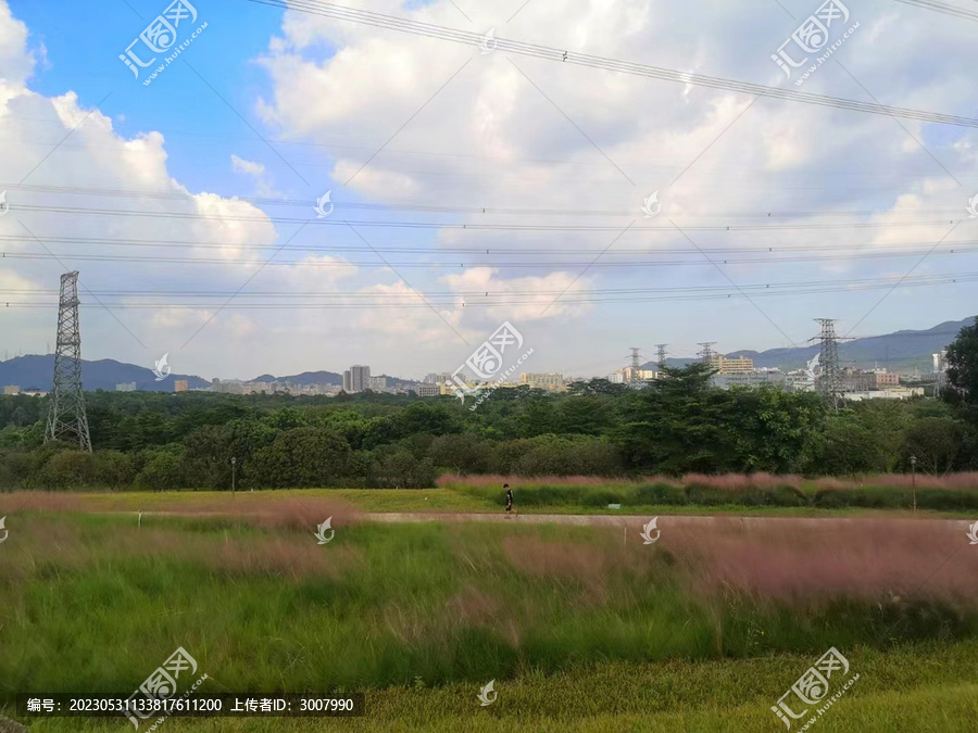 陌上花公园