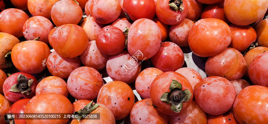 红柿