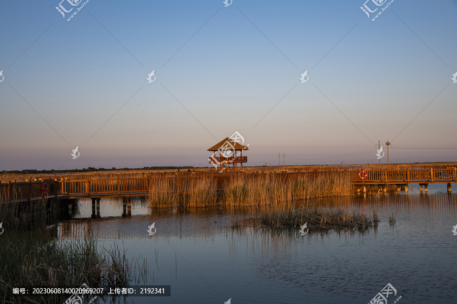 山东东营黄河口生态旅游区湿地