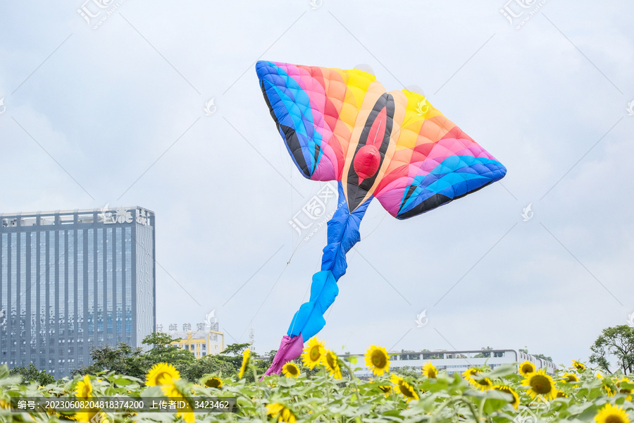 花田里的超大多彩风筝