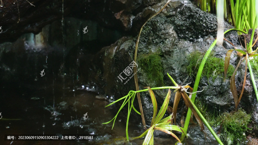 热带雨林景观热带植物瀑布流水