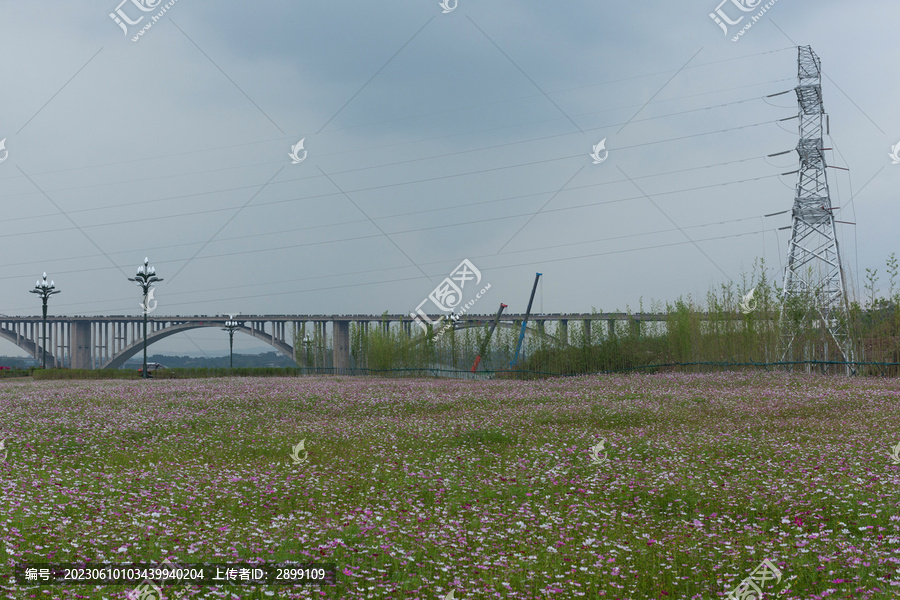 宜宾岷江花海银昆高速岷江大桥