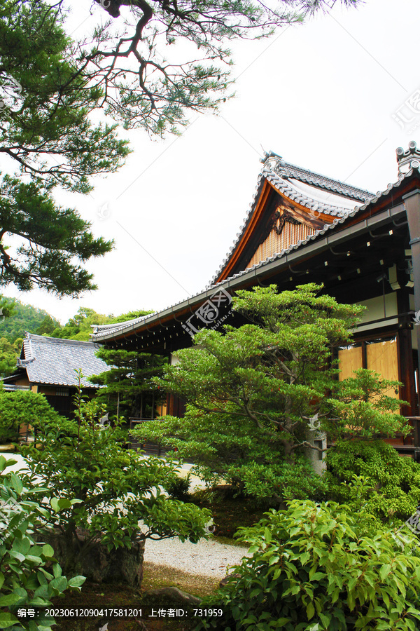 日本京都金阁寺风景