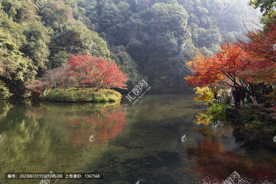 九溪烟树公园秋景