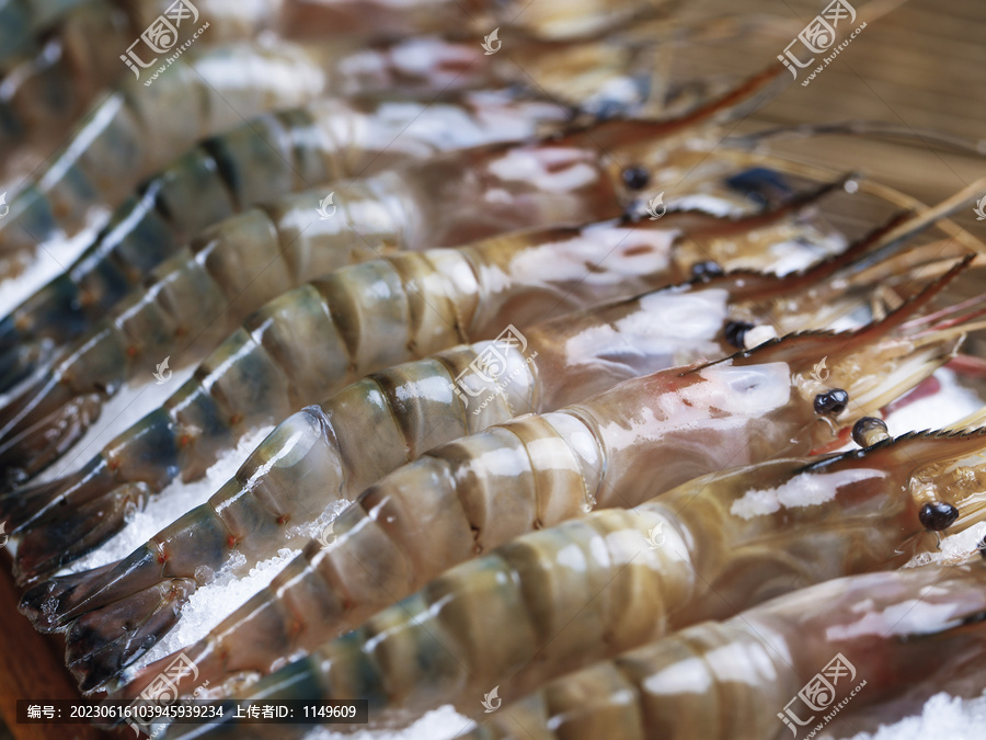 罗氏沼虾