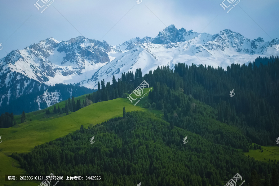 恰西森林公园雪山森林草原