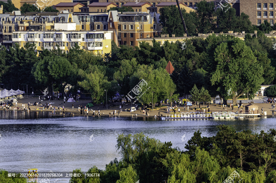 夏日里的中国长春南湖公园风景