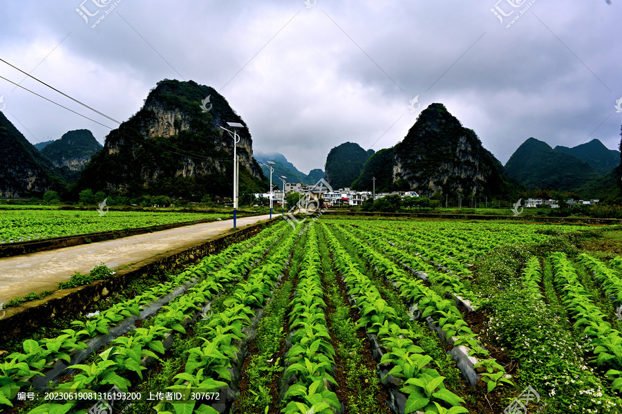 广西旧州风景