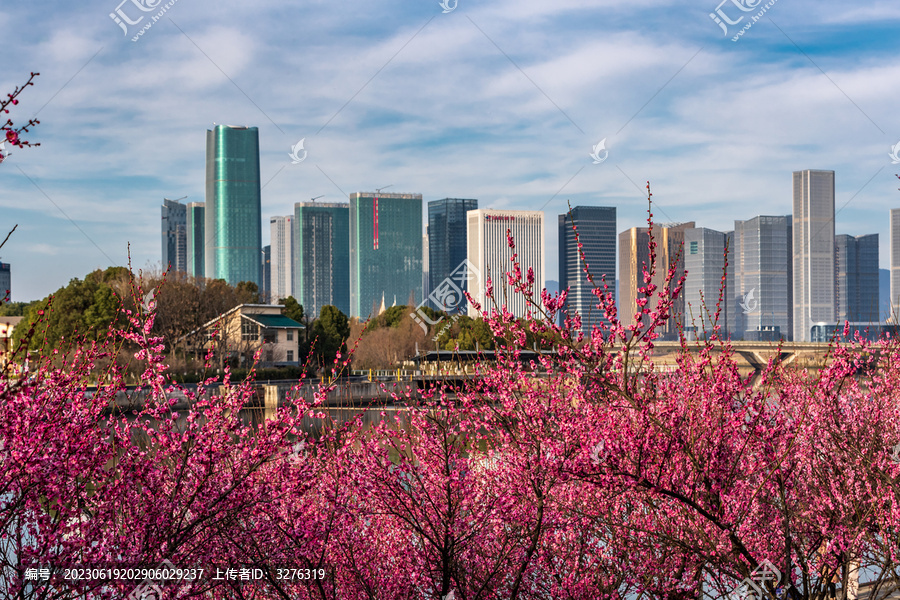 浙江义乌春天城市风光