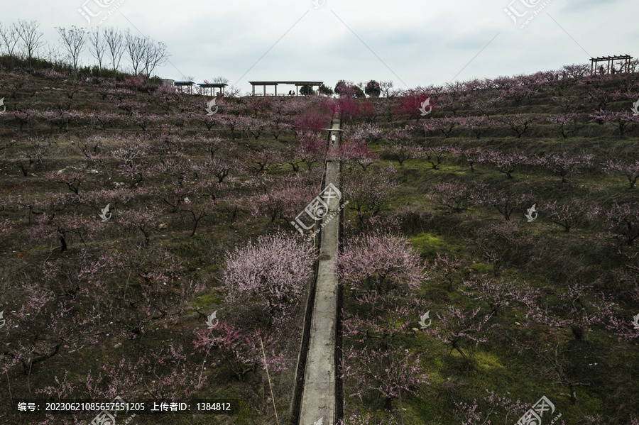 全心畈村桃花山航拍